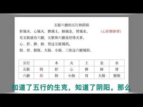 五臟六腑五行|五臟六腑：深入解析中醫學的核心概念 – 杏壇中醫藥教。